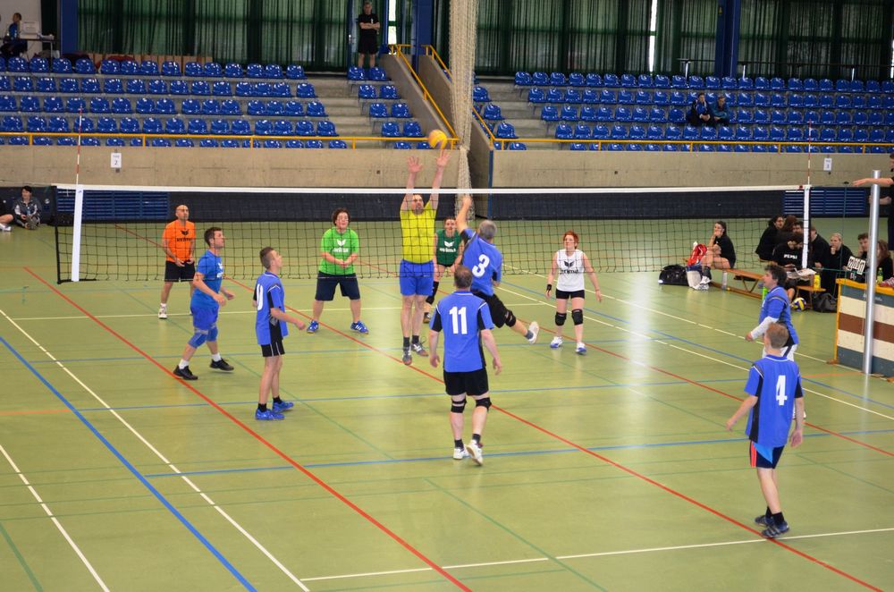 2013 Volleyball SM